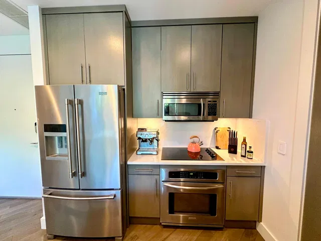 The Meridian Unit 203 photo 15