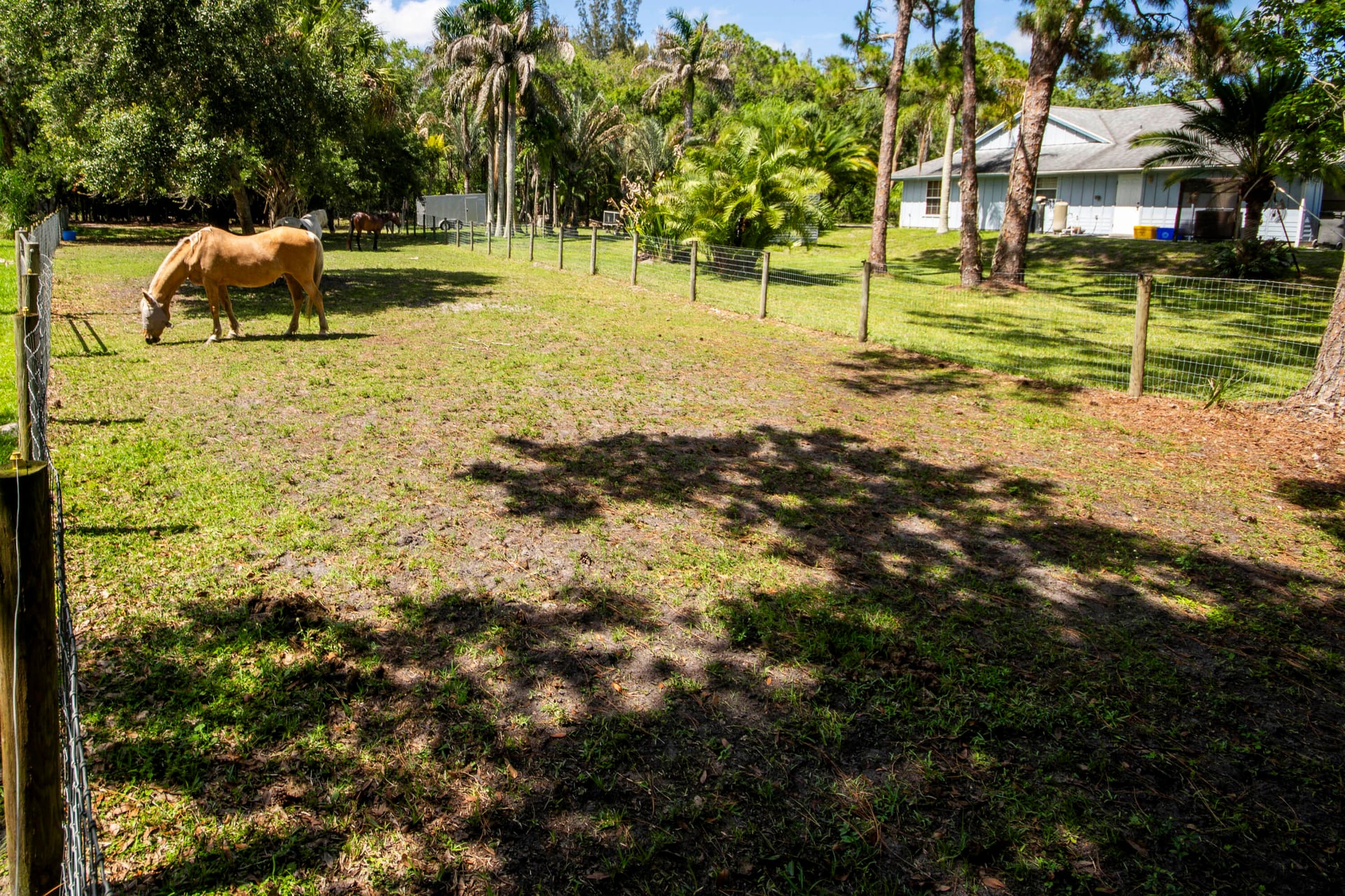 Residence photo 9