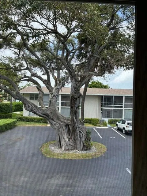 Unit 202 photo 2