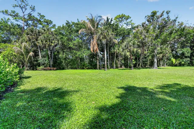 Pinewood Residence photo 55