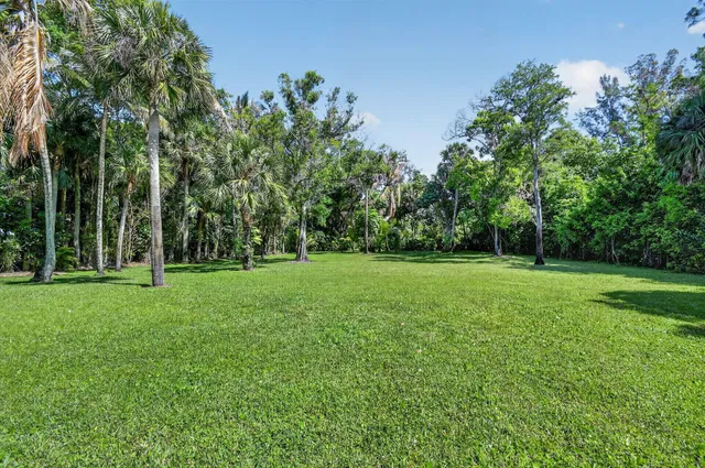 Pinewood Residence photo 56