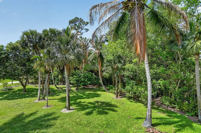 Pinewood Residence photo 61