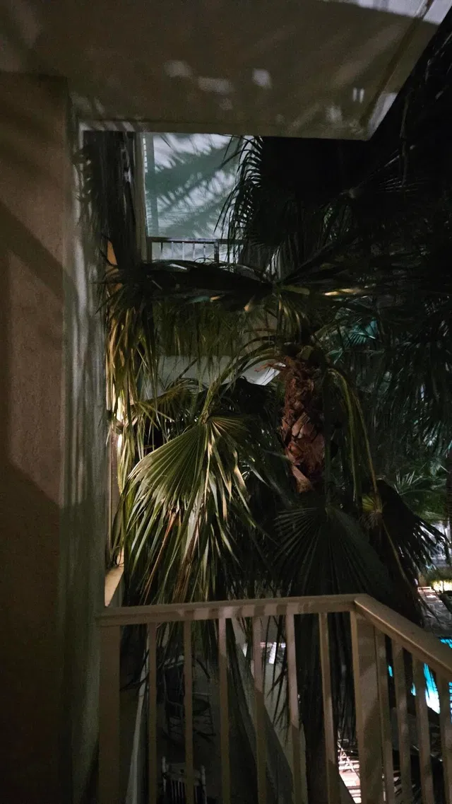 Boynton Beach Club Unit 407 photo 4