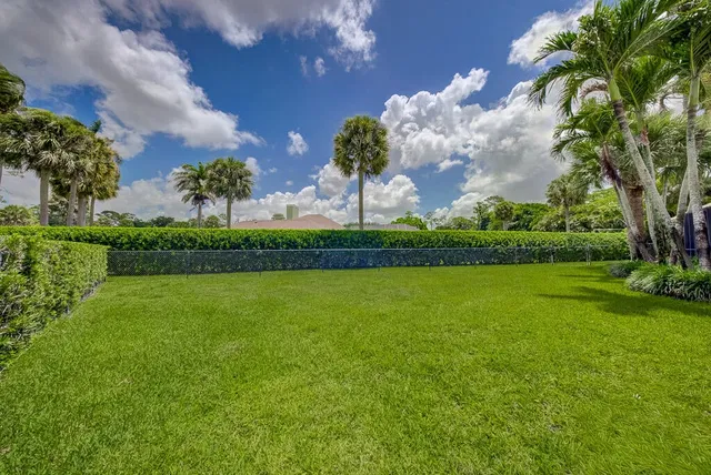 Pinewood Residence photo 75