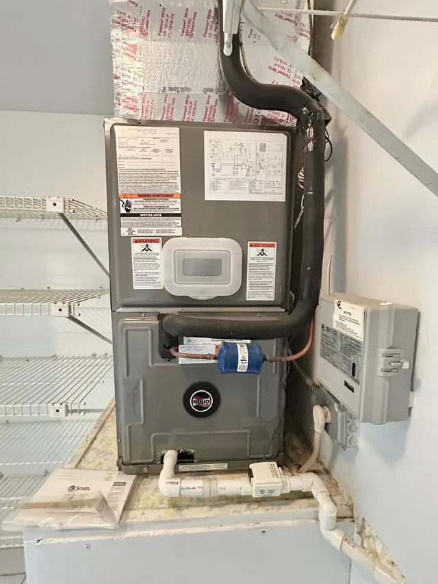 Unit C2 photo 12