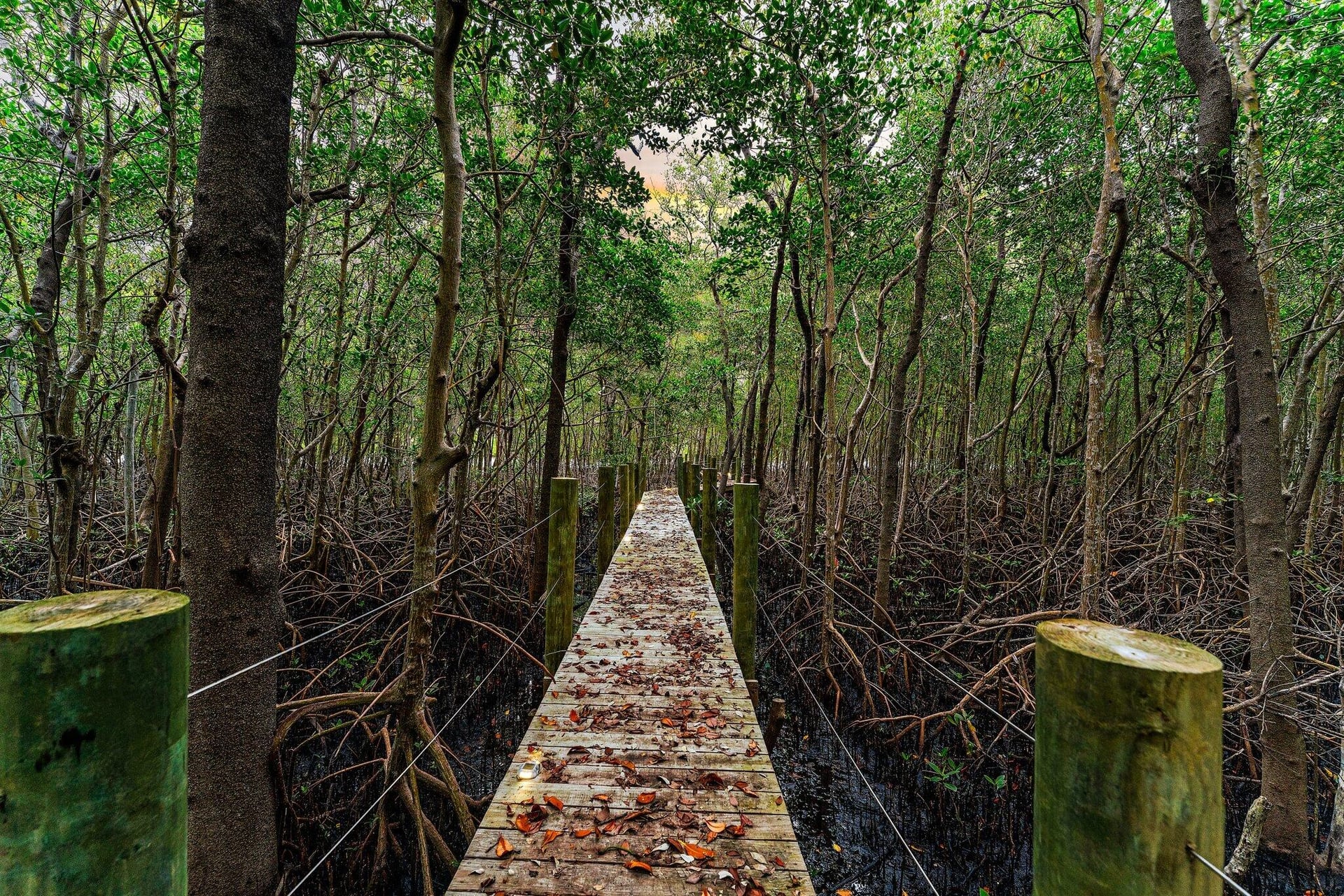  Residence photo 41