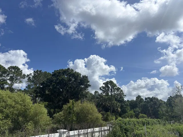 Panther National Palm Beach Gardens Residence photo 4