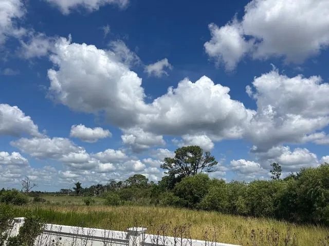 Panther National Palm Beach Gardens Residence photo 5
