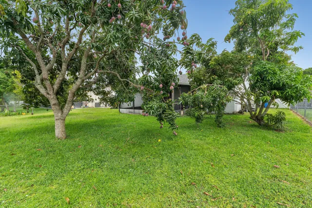 Residence photo 24