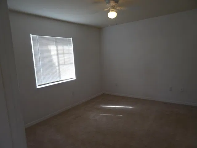 Unit 103 photo 47