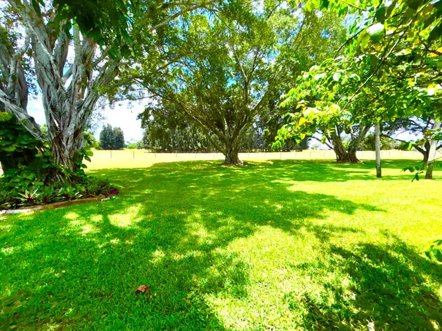 Residence photo 28