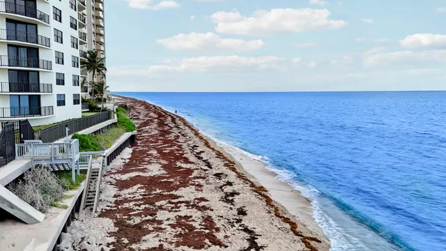 Harbour Point Singer Island Unit 204 photo 17