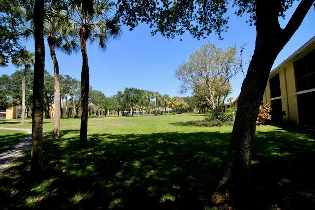 Unit 316 photo 11