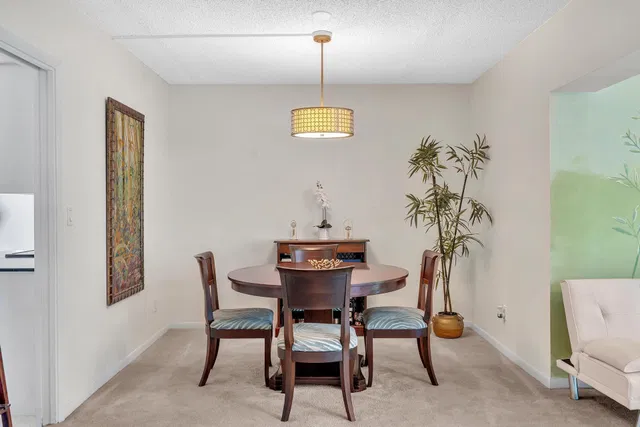 Unit 234 photo 12