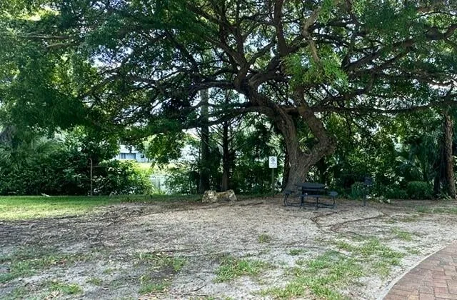 Unit 11 photo 18