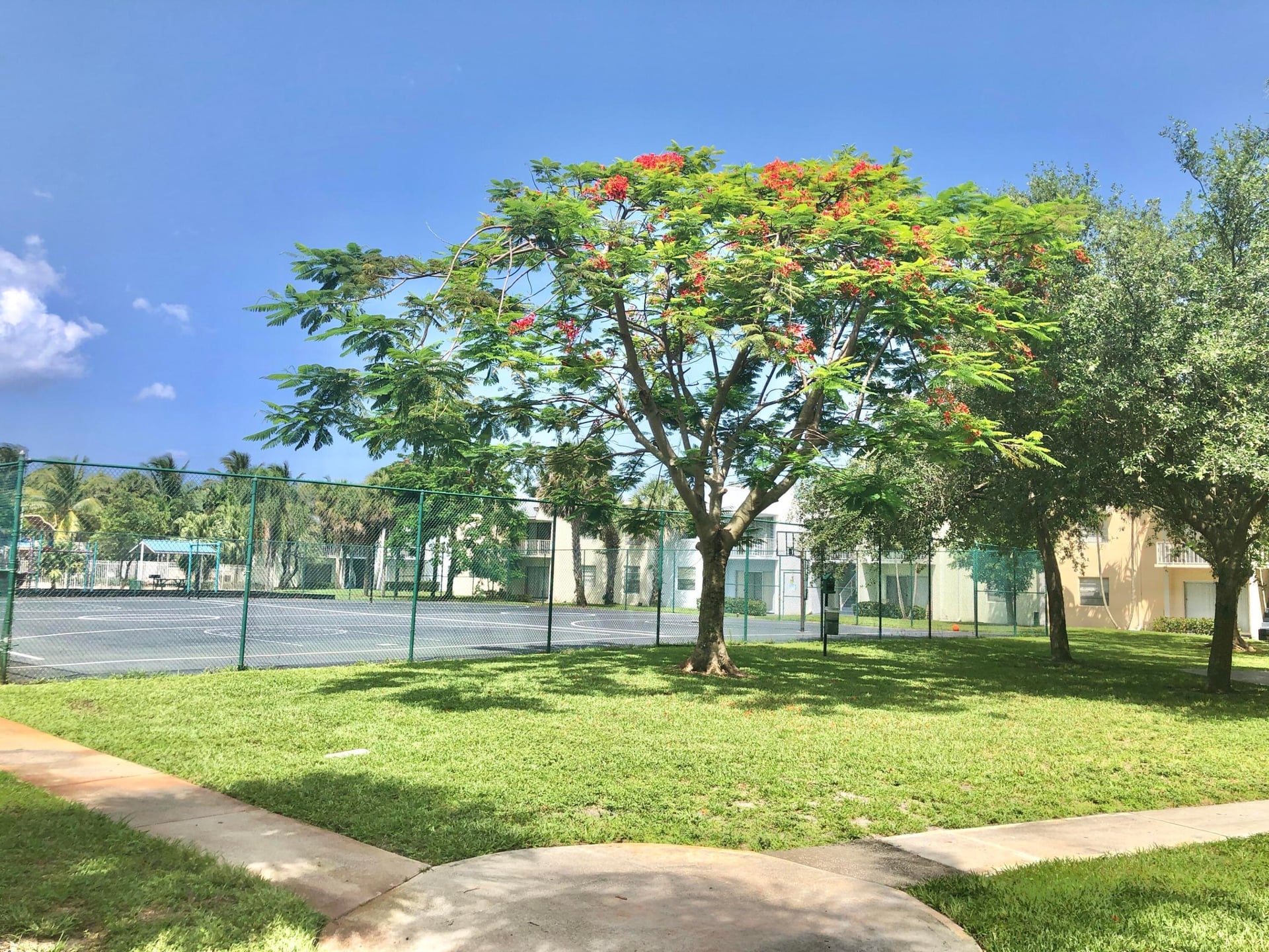 Unit 208 photo 27