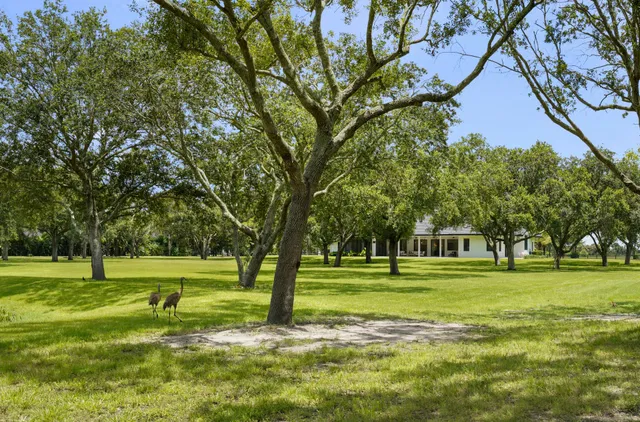 Residence photo 62