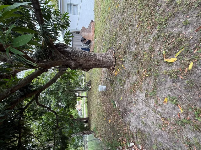  Residence photo 4