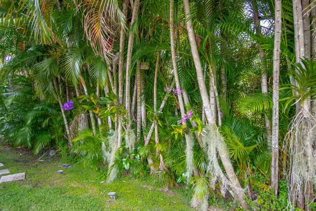Colonnade Boca Raton Residence photo 62