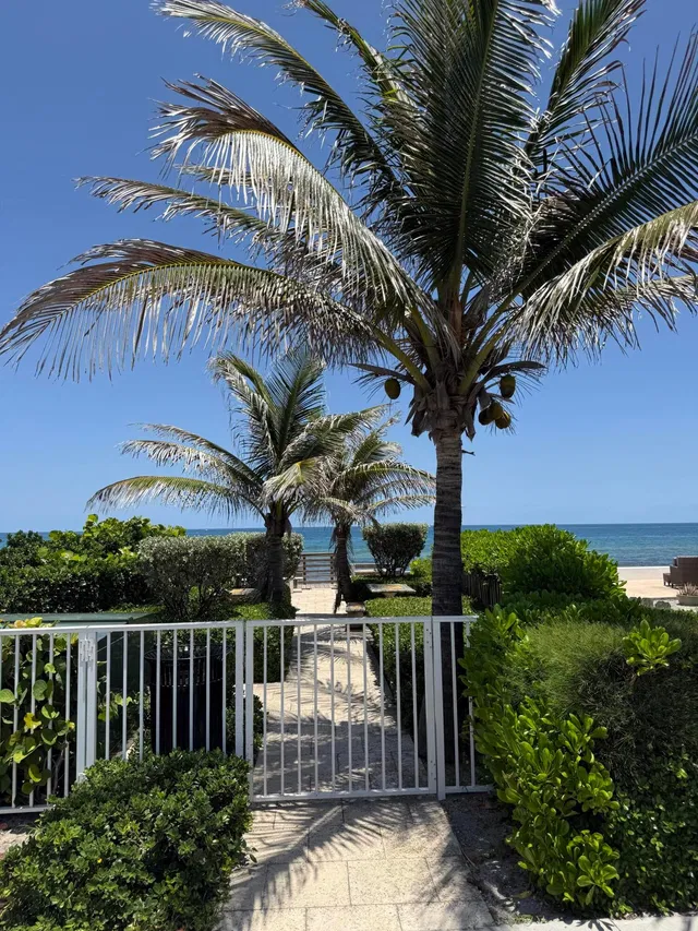 North End Palm Beach Residence photo 57