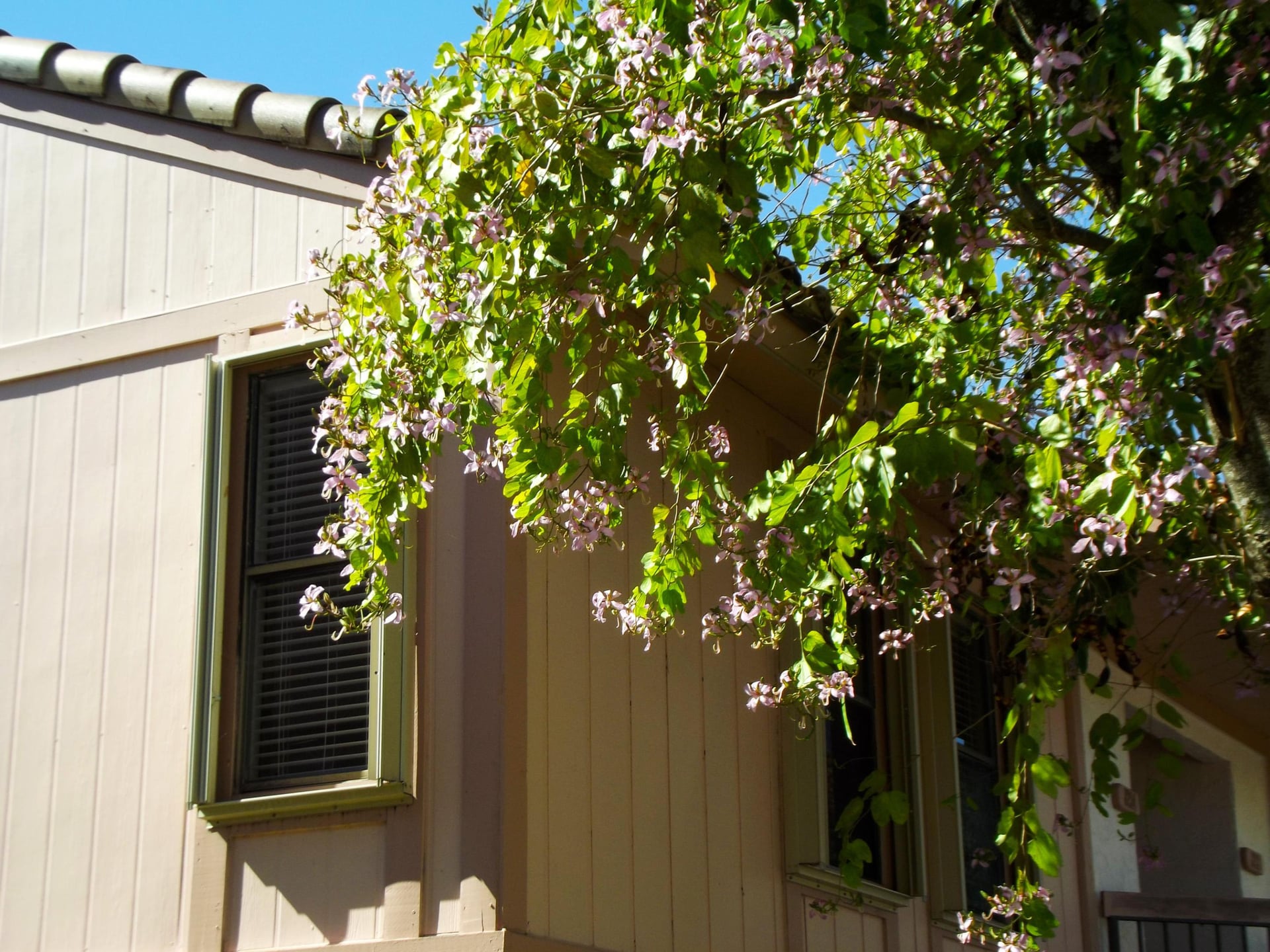 Unit 2140 photo 2