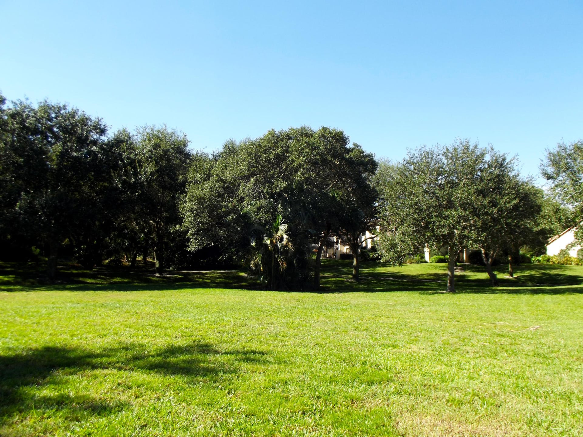 Unit 2140 photo 7