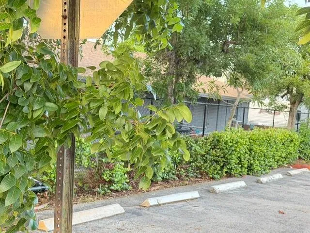 Residence photo 58