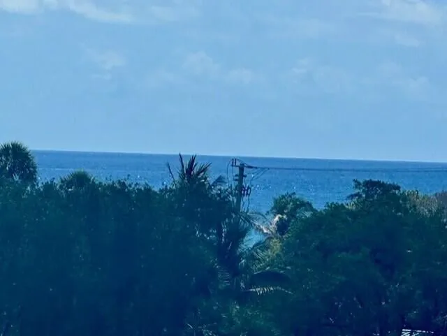 Sea Ranch Club of Boca Unit C 1608 photo 35