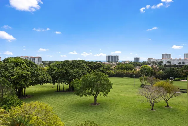 Alina Boca Raton Unit 703 photo 46