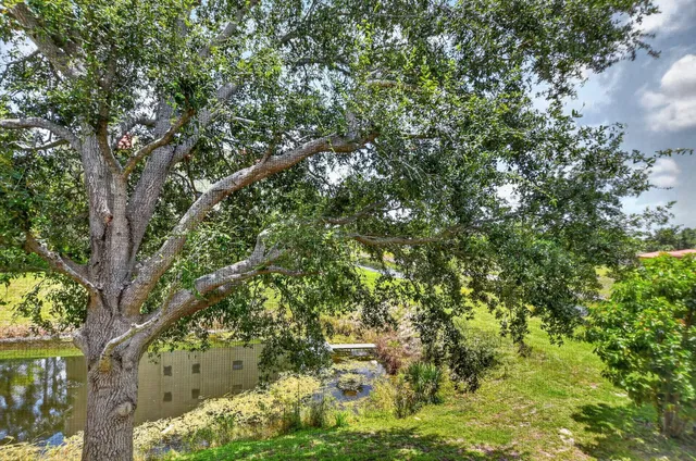 Unit 1029 photo 33