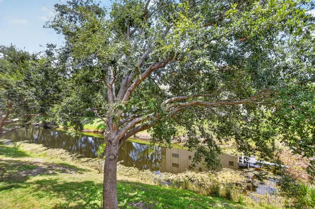 Unit 1029 photo 34