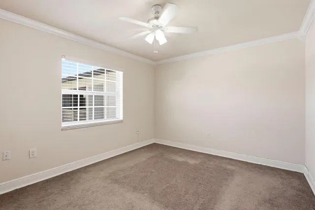 Unit M5 photo 15