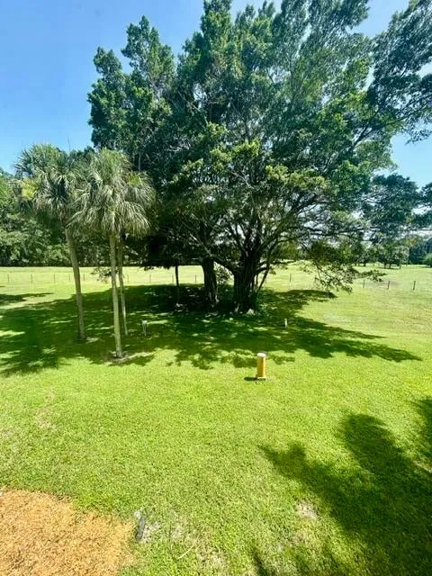 Unit 205 photo 34