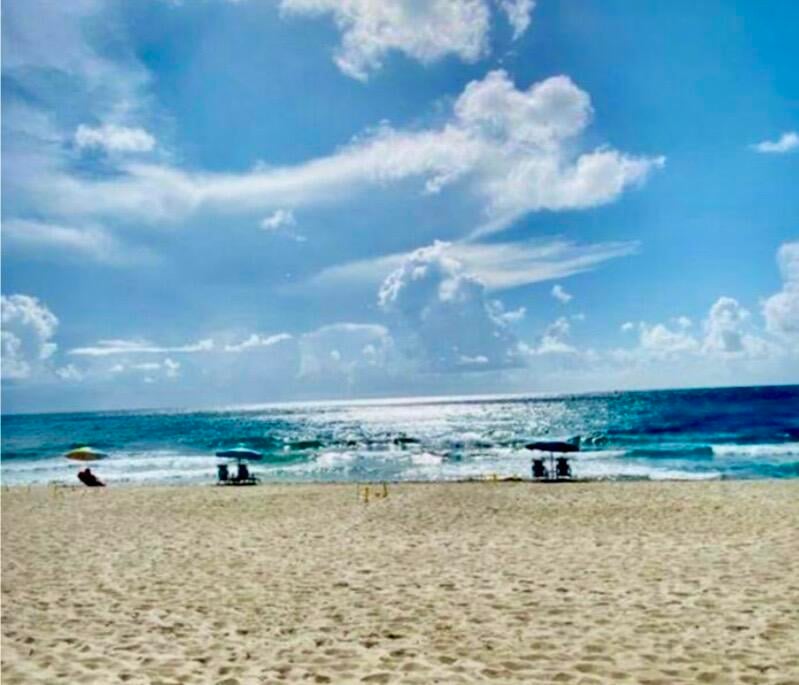 Palm Beach Shores Unit 501 photo 4