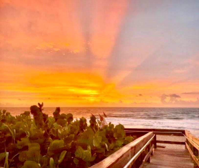Palm Beach Shores Unit 501 photo 16