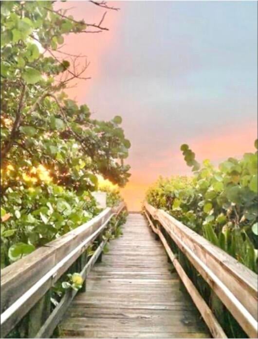 Palm Beach Shores Unit 501 photo 17