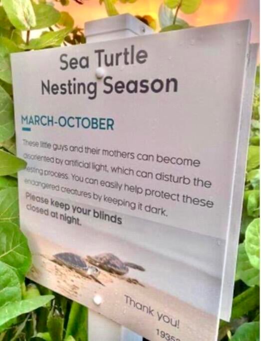 Palm Beach Shores Unit 501 photo 41