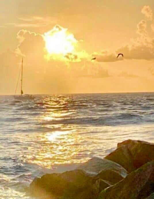 Palm Beach Shores Unit 501 photo 58