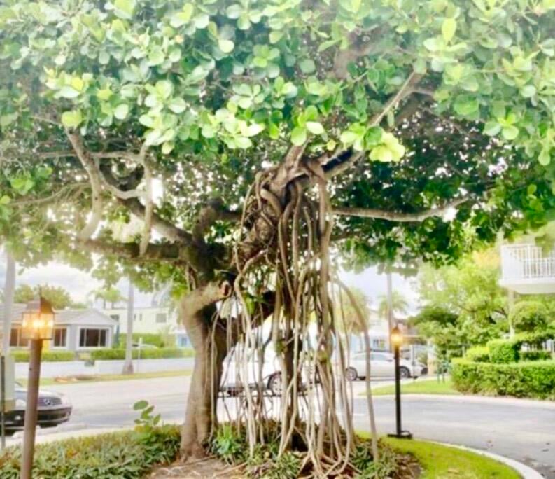 Palm Beach Shores Unit 501 photo 60