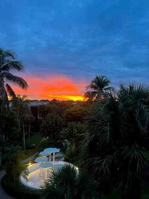 South Palm Beach Unit 311 photo 17