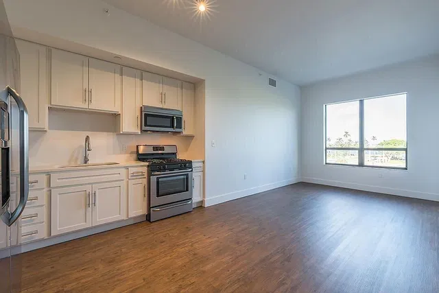 Downtown West Palm Beach Unit 411 photo 9