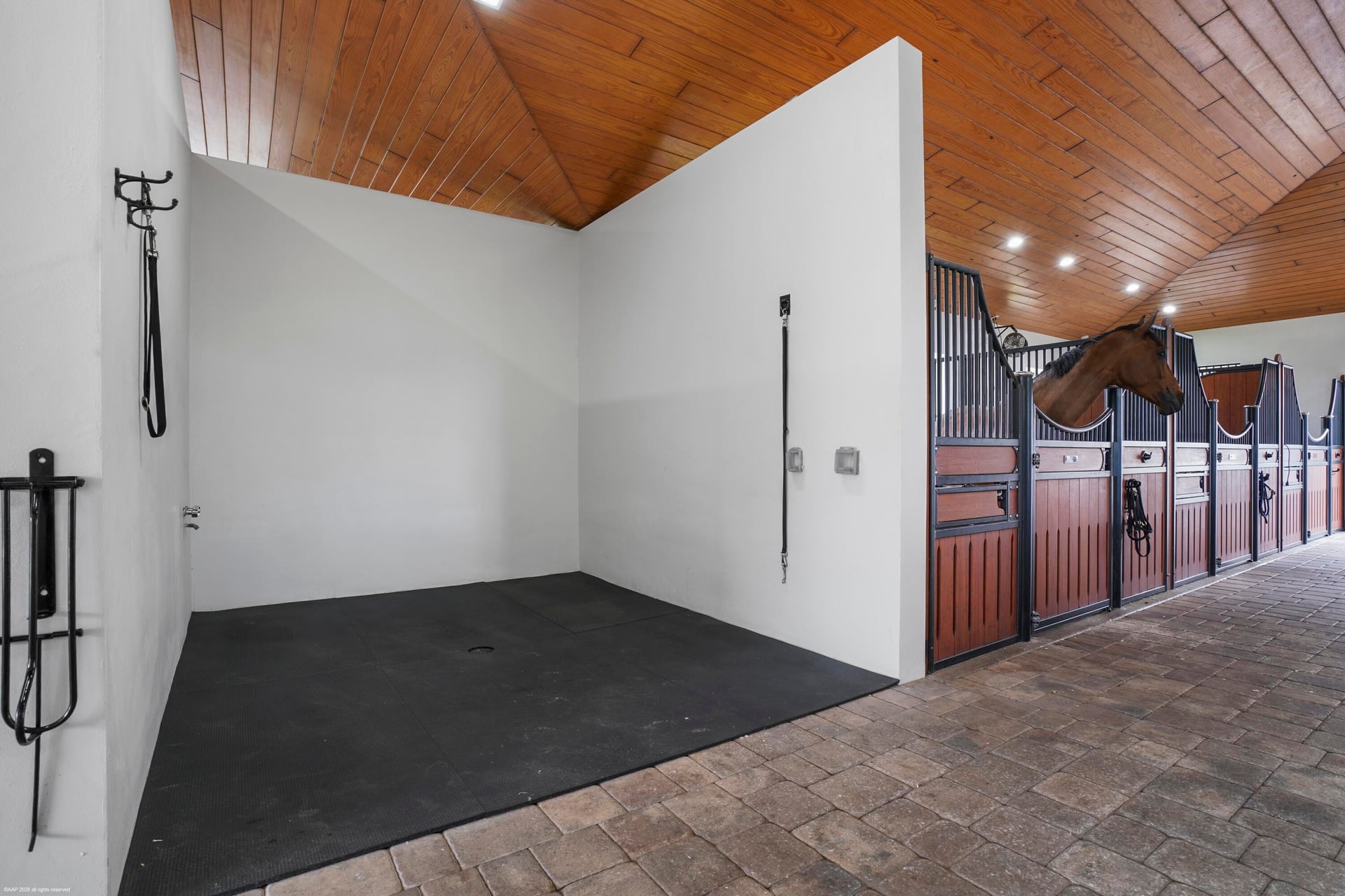 Palm Beach Point Residence photo 67
