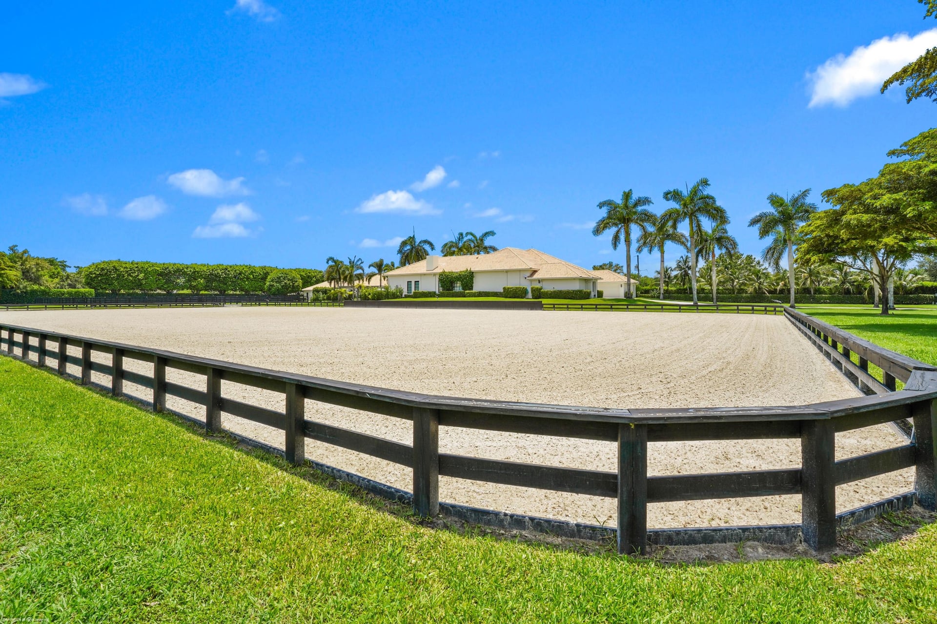 Palm Beach Point Residence photo 95