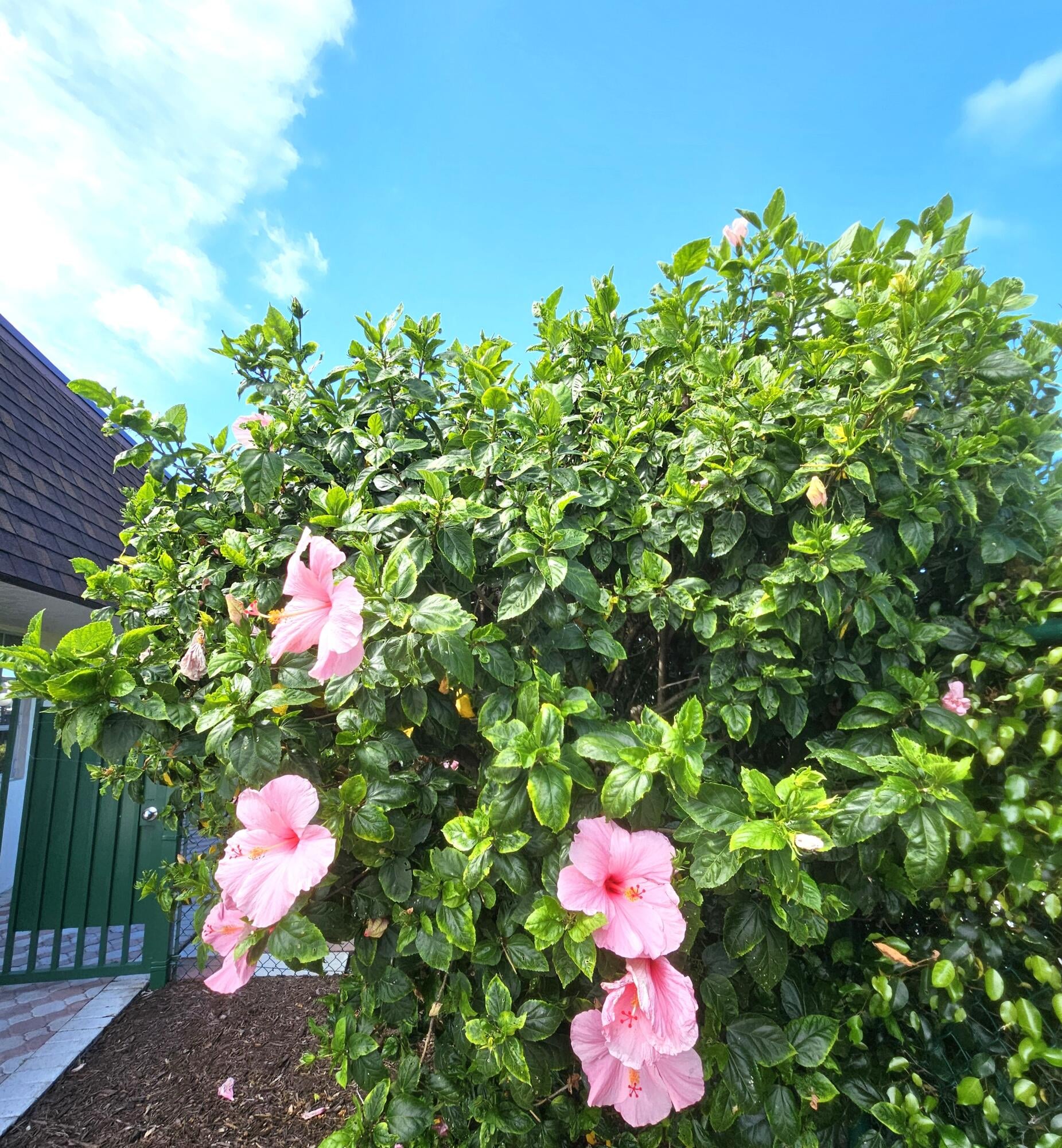  Unit 201 photo 30