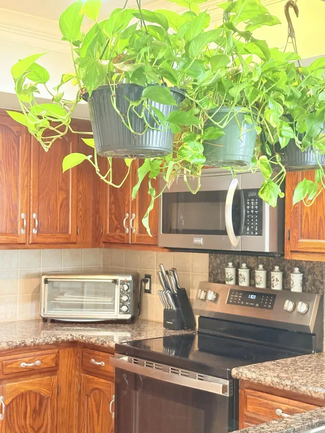 PGA National Palm Beach Gardens Residence photo 21