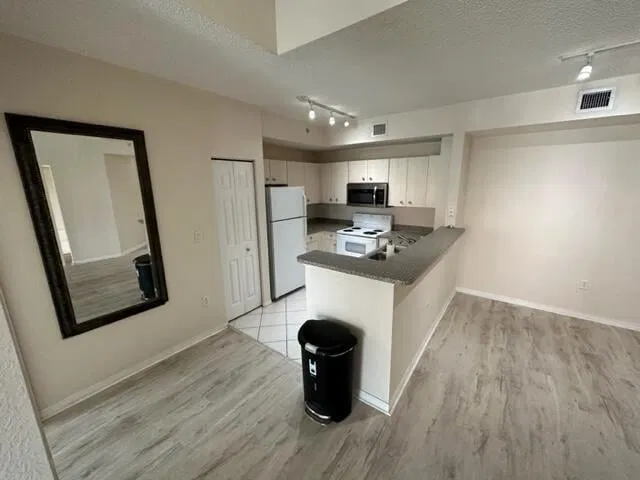 Downtown West Palm Beach Unit 312 photo 5