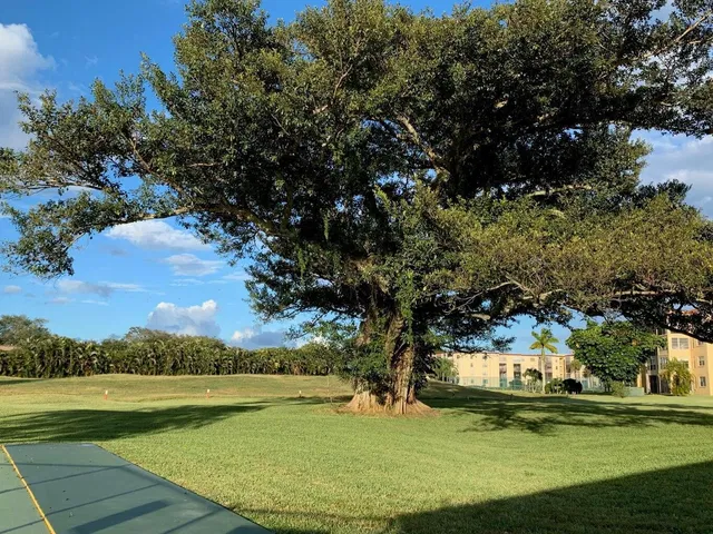 Unit 208 photo 35