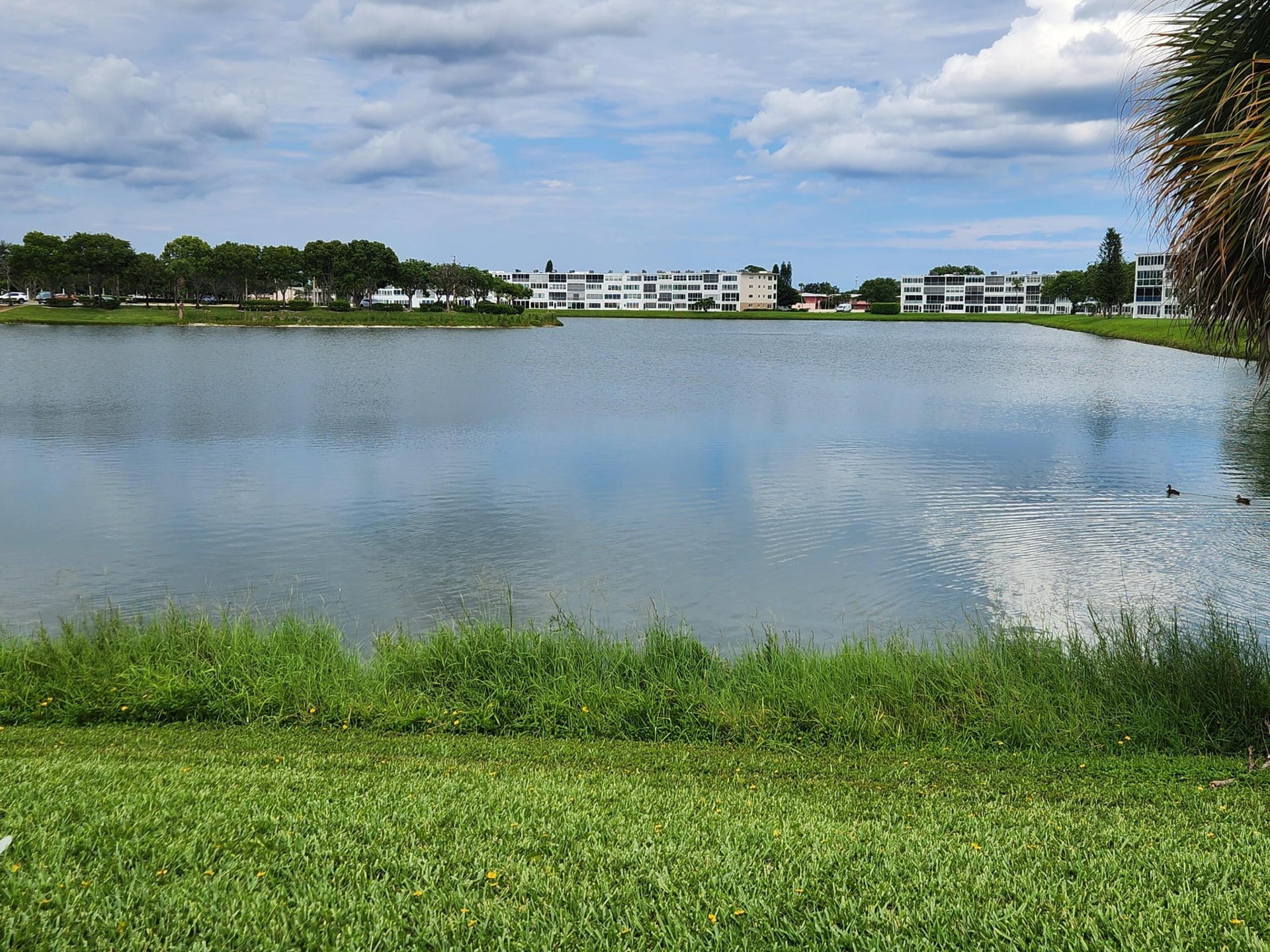 Unit 35 photo 36