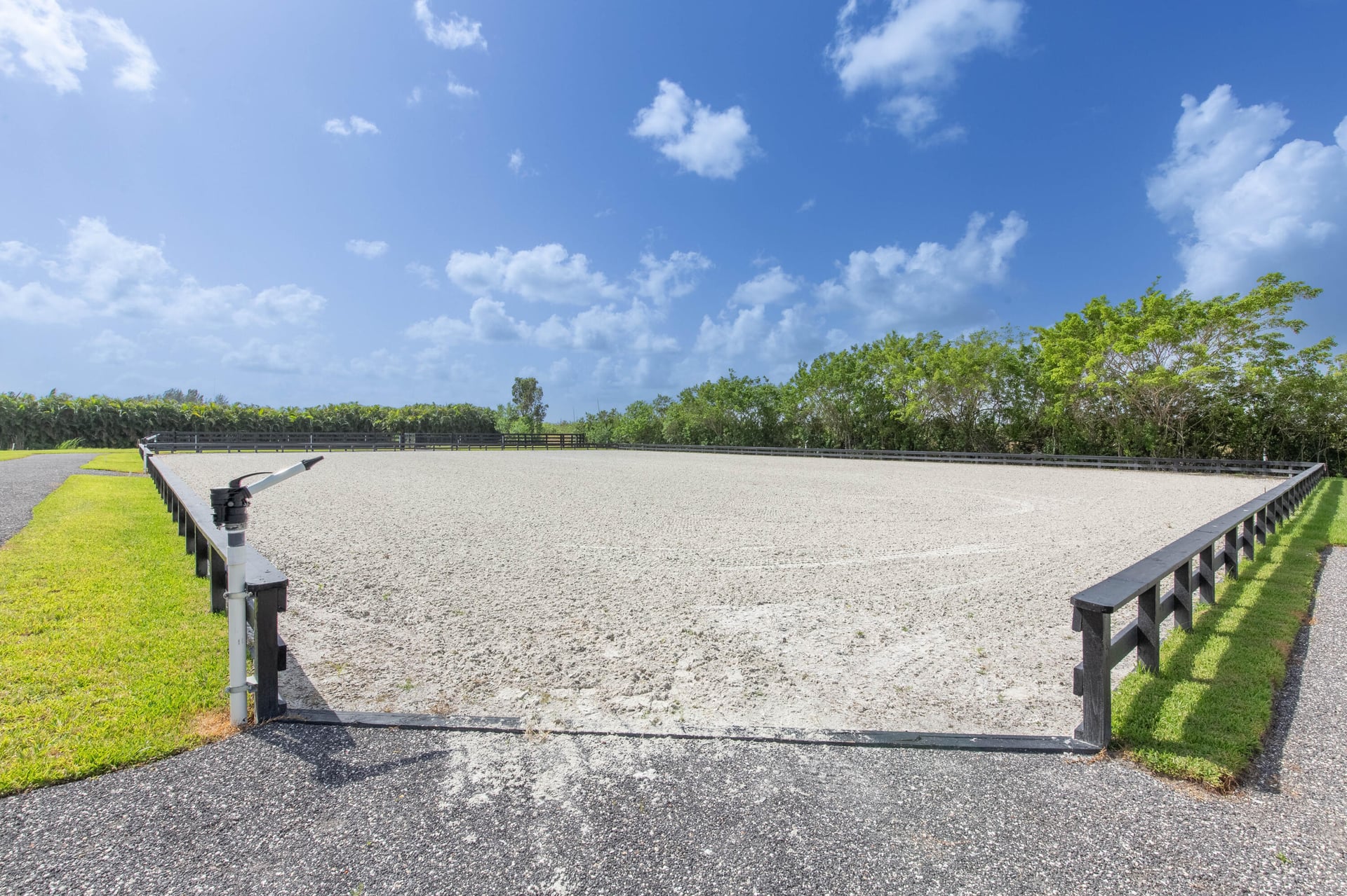 Palm Beach Point Residence photo 45