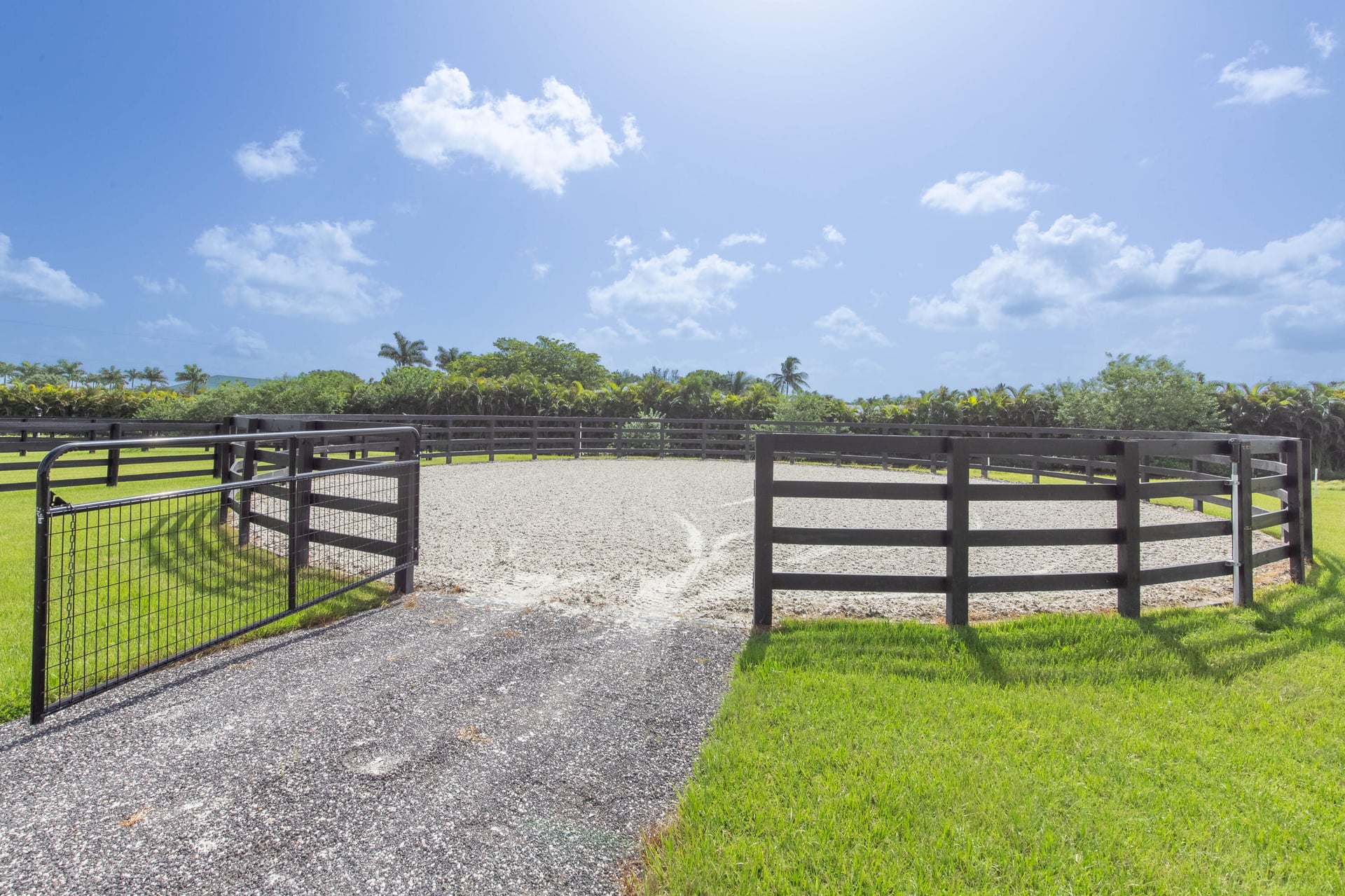 Palm Beach Point Residence photo 48